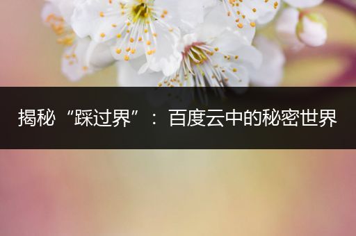 揭秘“踩过界”:百度云中的秘密世界