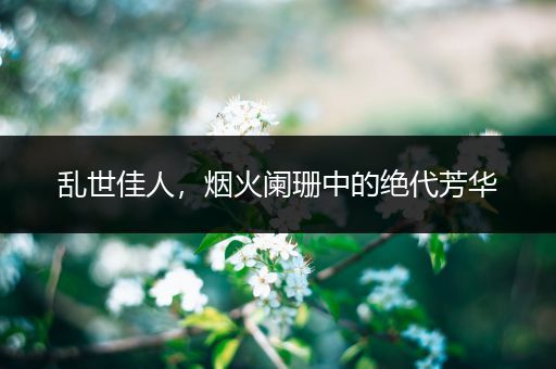 乱世佳人，烟火阑珊中的绝代芳华