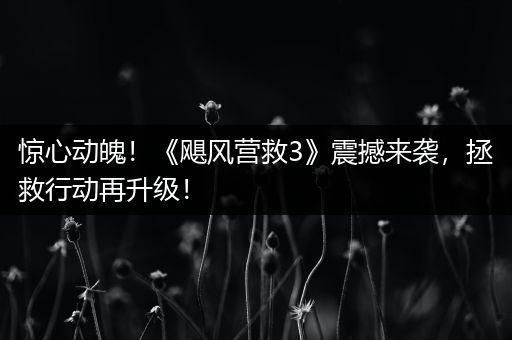 惊心动魄！《飓风营救3》震撼来袭，拯救行动再升级！