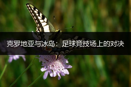 克罗地亚与冰岛：足球竞技场上的对决