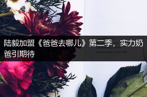 陆毅加盟《爸爸去哪儿》第二季，实力奶爸引期待