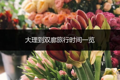 大理到双廊旅行时间一览