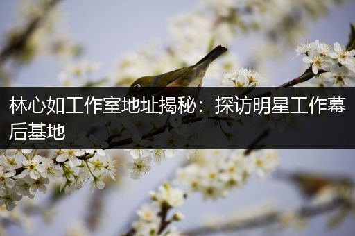 林心如工作室地址揭秘：探访明星工作幕后基地