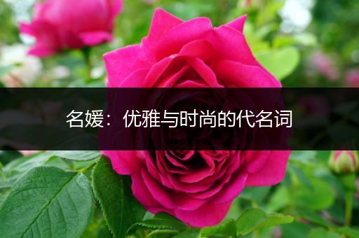 名媛：优雅与时尚的代名词