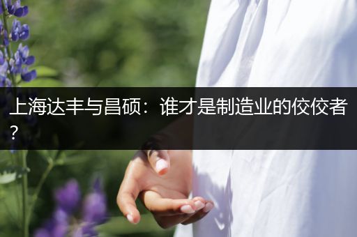 上海达丰与昌硕：谁才是制造业的佼佼者？