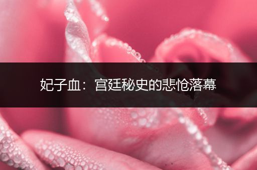 妃子血:宫廷秘史的悲怆落幕