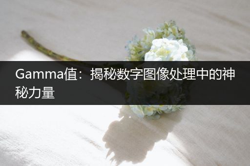 Gamma值:揭秘数字图像处理中的神秘力量