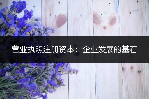 营业执照注册资本:企业发展的基石