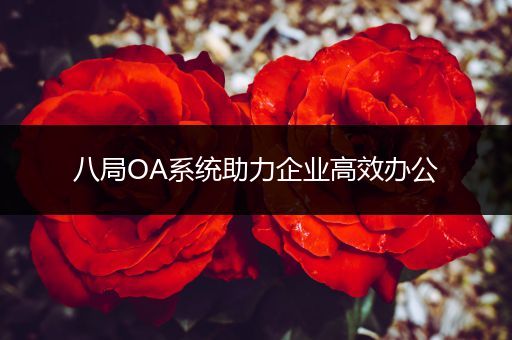 八局OA系统助力企业高效办公