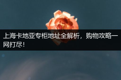 上海卡地亚专柜地址全解析，购物攻略一网打尽！