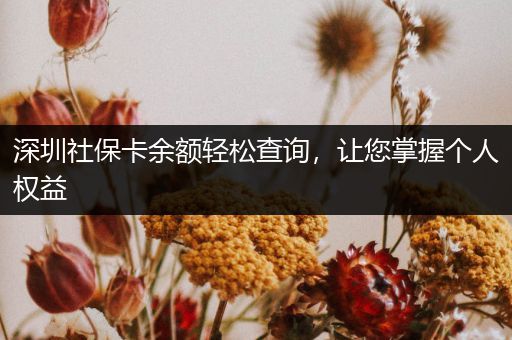 深圳社保卡余额轻松查询，让您掌握个人权益
