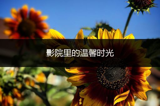 影院里的温馨时光