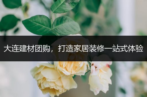 大连建材团购,打造家居装修一站式体验