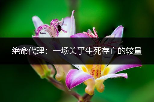 绝命代理：一场关乎生死存亡的较量