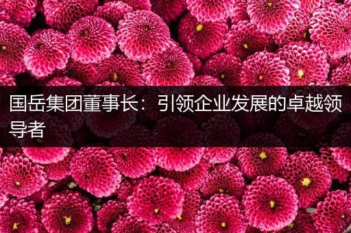 国岳集团董事长：引领企业发展的卓越领导者