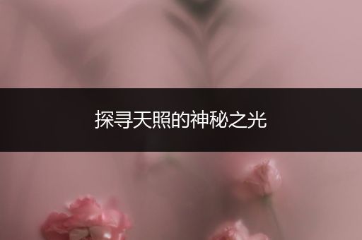 探寻天照的神秘之光