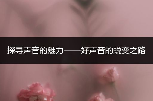 探寻声音的魅力——好声音的蜕变之路