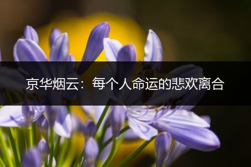 京华烟云：每个人命运的悲欢离合
