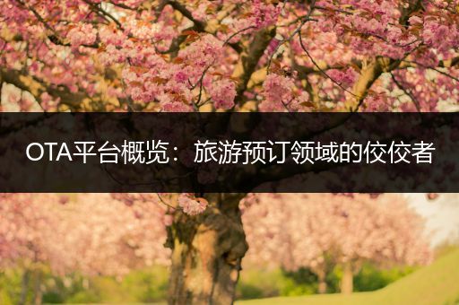 OTA平台概览：旅游预订领域的佼佼者