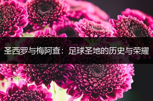 圣西罗与梅阿查:足球圣地的历史与荣耀