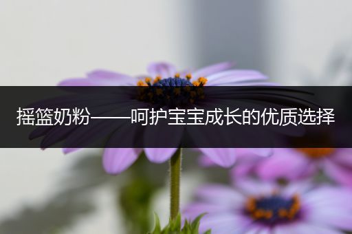 摇篮奶粉——呵护宝宝成长的优质选择