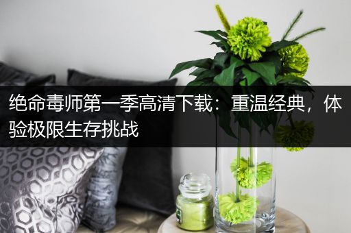 绝命毒师第一季高清下载：重温经典，体验极限生存挑战
