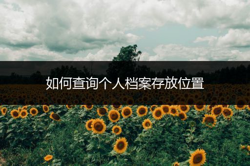 如何查询个人档案存放位置