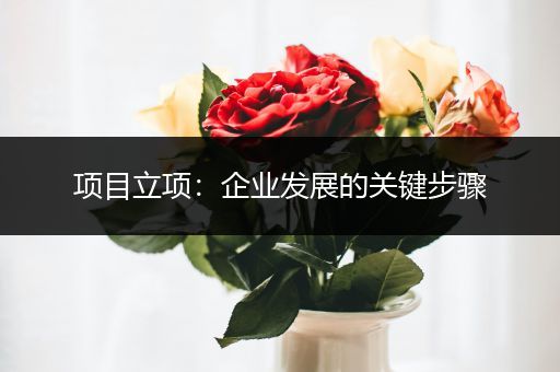 项目立项：企业发展的关键步骤