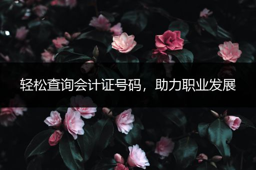 轻松查询会计证号码，助力职业发展