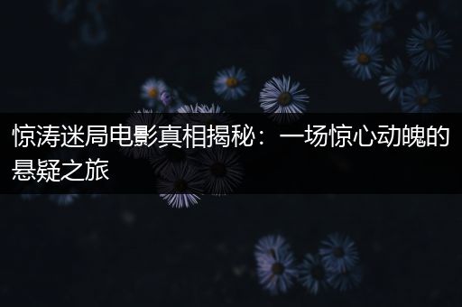 惊涛迷局电影真相揭秘：一场惊心动魄的悬疑之旅