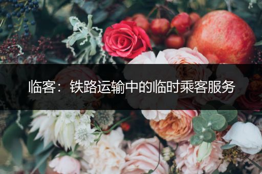 临客：铁路运输中的临时乘客服务