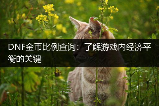 DNF金币比例查询：了解游戏内经济平衡的关键