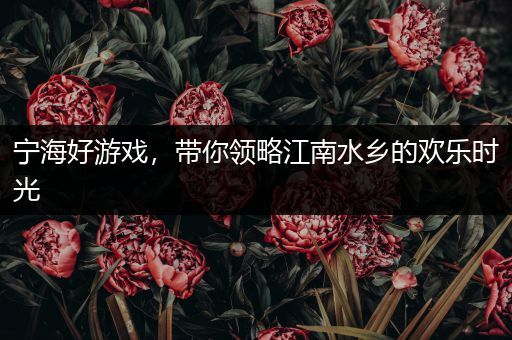 宁海好游戏，带你领略江南水乡的欢乐时光