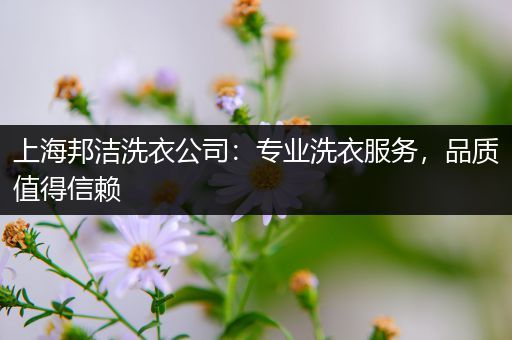 上海邦洁洗衣公司：专业洗衣服务，品质值得信赖