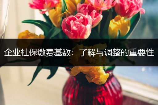 企业社保缴费基数：了解与调整的重要性