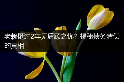 老赖挺过2年无后顾之忧？揭秘债务清偿的真相