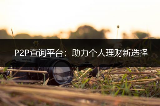 P2P查询平台：助力个人理财新选择