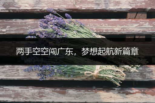 两手空空闯广东，梦想起航新篇章