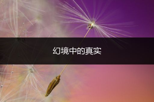 幻境中的真实