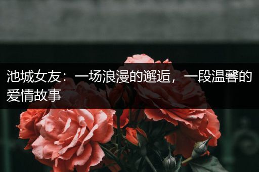 池城女友：一场浪漫的邂逅，一段温馨的爱情故事