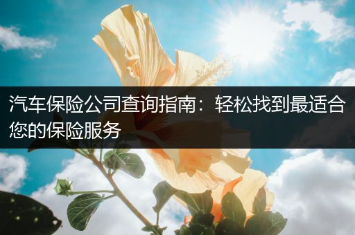 汽车保险公司查询指南：轻松找到最适合您的保险服务