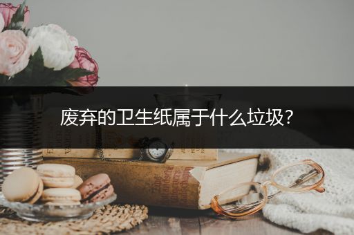 废弃的卫生纸属于什么垃圾？