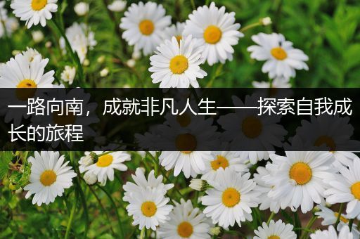 一路向南，成就非凡人生——探索自我成长的旅程