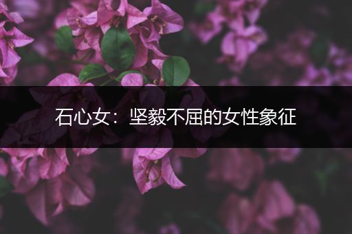 石心女：坚毅不屈的女性象征