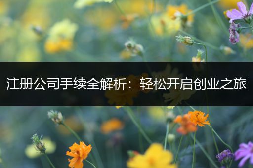 注册公司手续全解析：轻松开启创业之旅