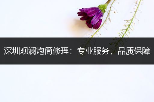深圳观澜炮筒修理：专业服务，品质保障