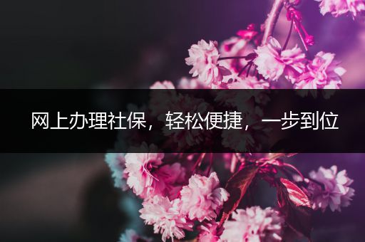 网上办理社保，轻松便捷，一步到位