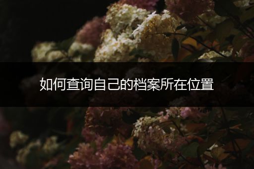 如何查询自己的档案所在位置