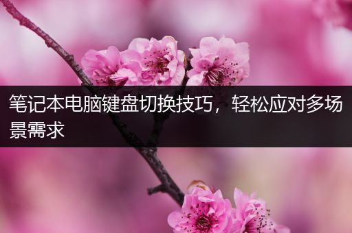 笔记本电脑键盘切换技巧，轻松应对多场景需求