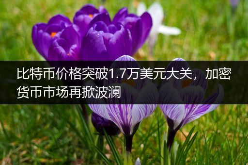 比特币价格突破1.7万美元大关，加密货币市场再掀波澜